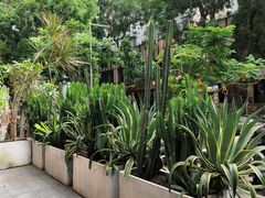 -同仁四季椰子鸡(福田东园总店)