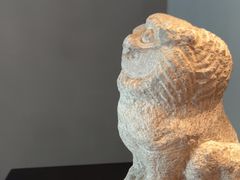 -觀芷隐轩