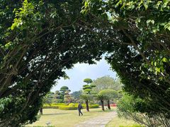 -南宁南湖公园
