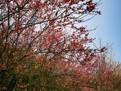 -贵阳市花溪国家城市湿地公园