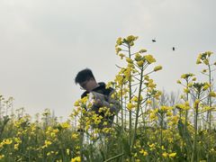 -中国天府农业博览园