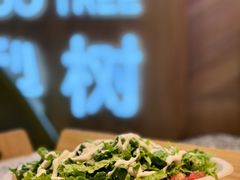-油梨树AVOCADO TREE(嘉里中心店)