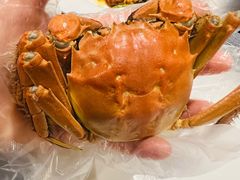 -顺德美的万豪酒店·自助餐·贡厨
