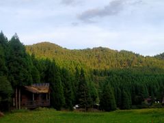 -武陵山森林公园