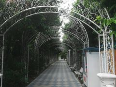 -百万葵园