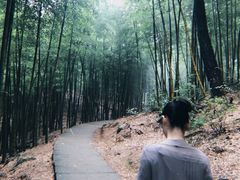 -藏龙百瀑风景区