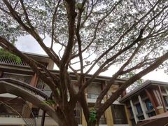 -毛公山瞻仰区售票处