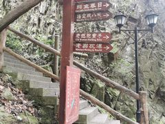 -华溪森林公园-售票处