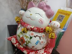 -凡碧诗毛孔收细