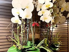 -Dragonfly悠庭·按摩Spa(静安嘉里中心店)