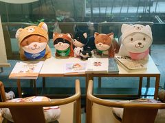 -柴务处·柴犬主题狗咖