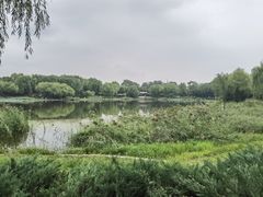 -北坞公园