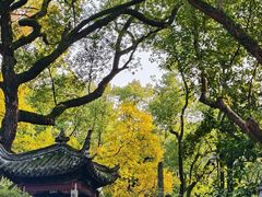 -好兄弟郭巨海鲜(天一阁店)