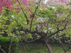 -木塔寺遗址生态公园