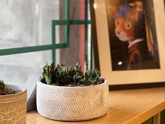 -Catch Bagel(芳草地店)