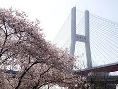 -南浦大桥长途旅游客运站