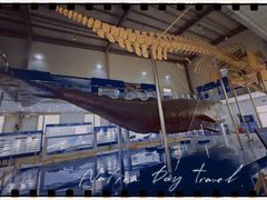 -上海海洋大学鱼文化博物馆(军工路校区)