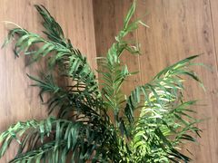 -新紫霞养生·影院足道·SPA(金山区店)