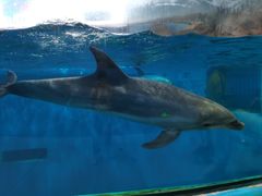 -福州罗源湾海洋世界旅游区