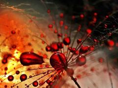 -苏州图书馆(姑苏区分馆)