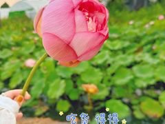 -柯岩风景区