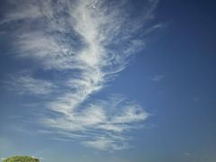 -阳澄湖半岛旅游度假区