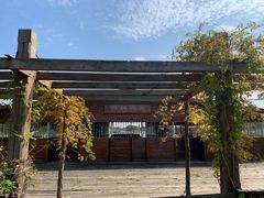 -梁鸿国家湿地公园