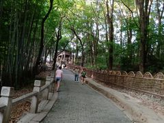 -灵岩山风景区
