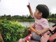 -枫香湖儿童公园