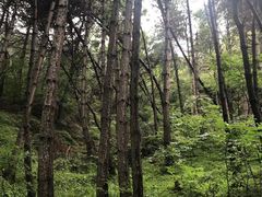 -黄崖洞文化旅游区