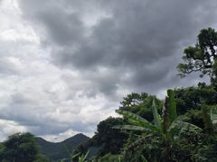 -海南霸王岭国家森林公园