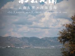 -大理洱海