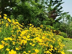 -狼山风景名胜区