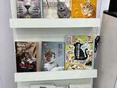 -爱洗澡的猫(望京店)