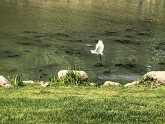 -九里河湿地公园