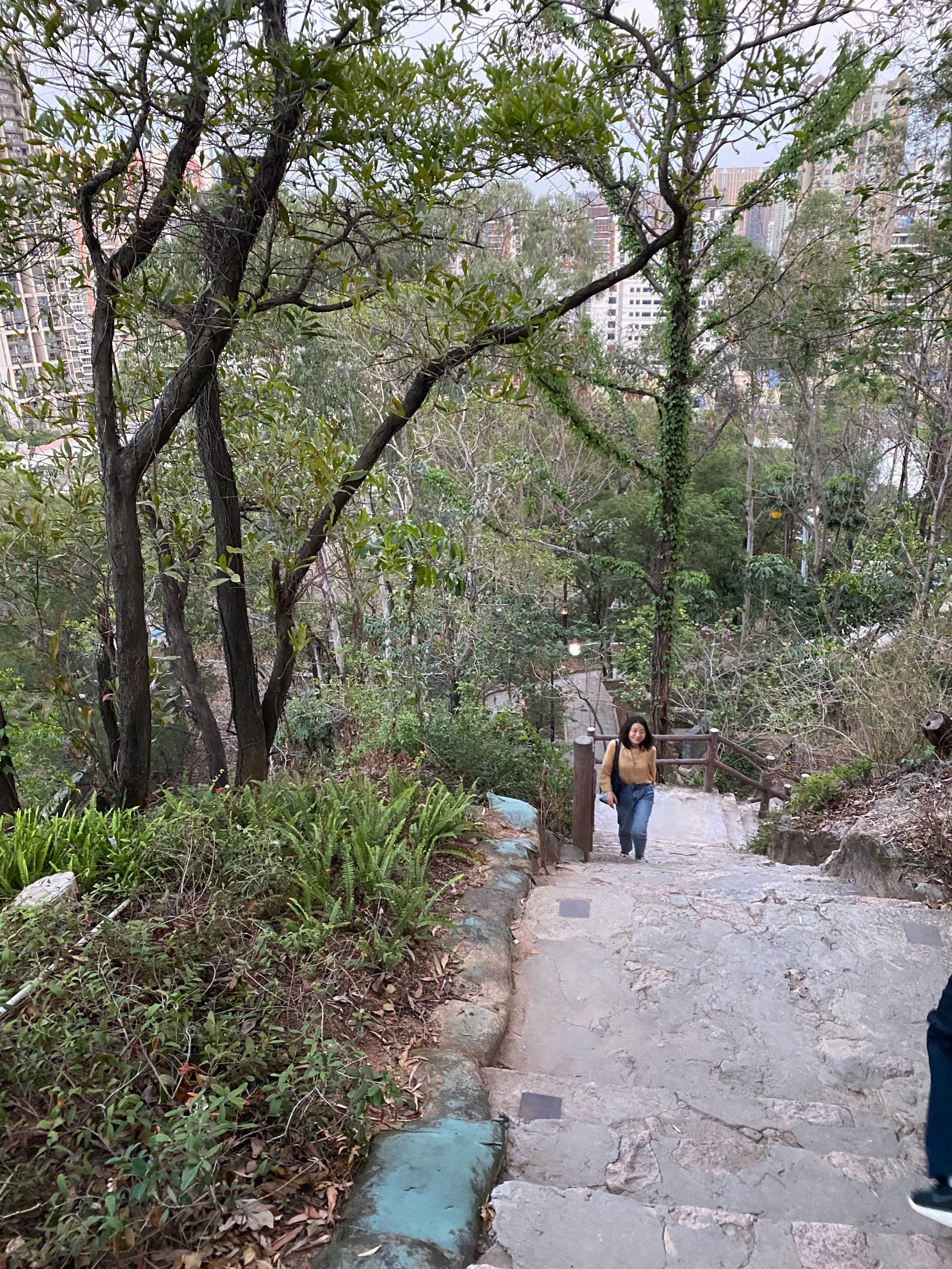 南山公园位于广东省深圳市南头半岛,主峰高