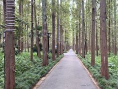 -上海怡沁园度假酒店