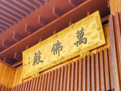 -深圳仙湖植物园