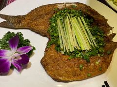 -香巴拉云南餐厅(华莱坞店)