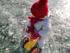 -丁香湖公园