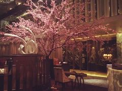 -金轩中餐厅 Jin Xuan(浦东丽思卡尔顿酒店)