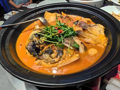 -新天明砂锅鱼头煲