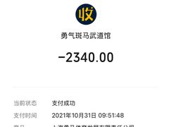 -勇气斑马·巴西柔术&跆拳道(浦东三林店)
