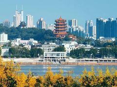 -黄鹤楼公园(黄鹤楼)