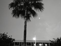 -广州白云国际机场-T2航站楼