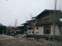 -大唐贡茶院