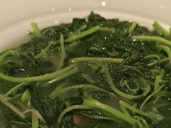 -金河半岛园林酒家(金融城店)