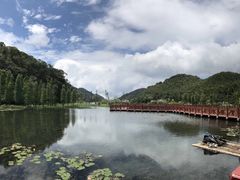 -广州市石门国家森林公园