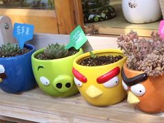 -长颈鹿咖啡(大学路店)