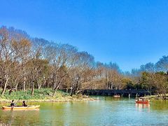 -西溪国家湿地公园